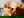 Avatar for countryboy08
